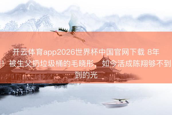 开云体育app2026世界杯中国官网下载 8年逆袭！被生父扔垃圾桶的毛晓彤，如今活成陈翔够不到的光